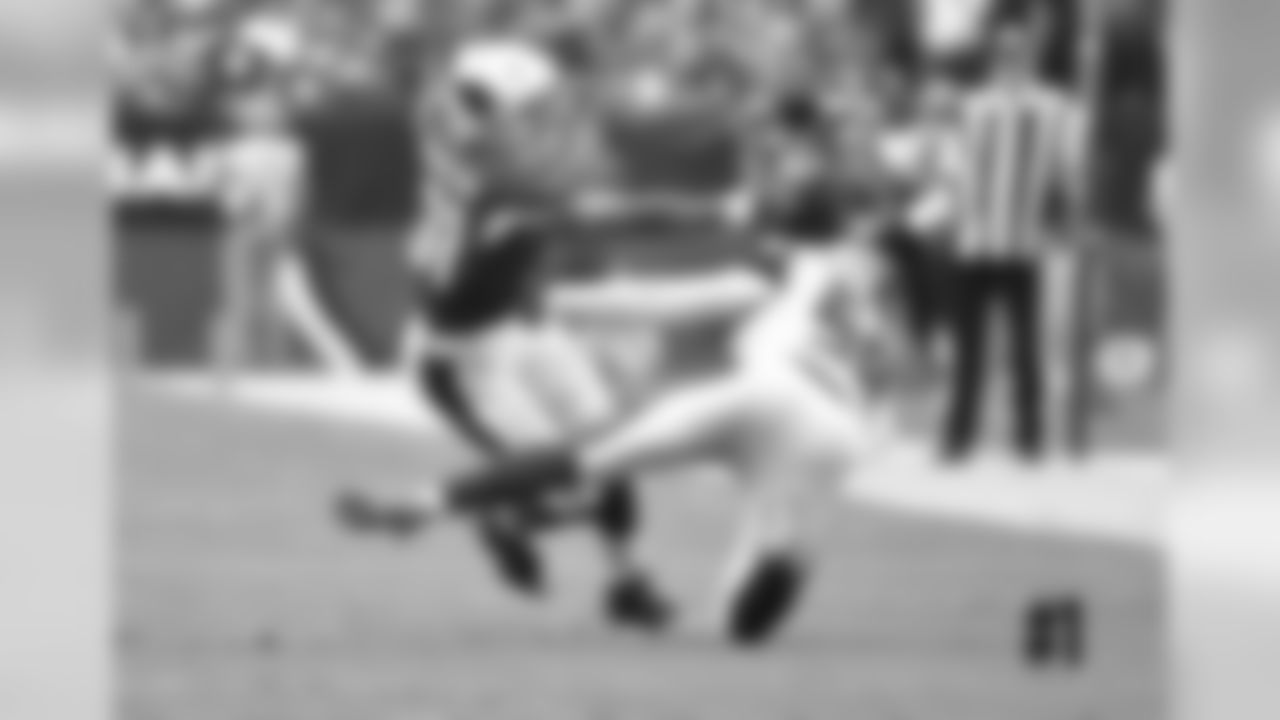 RB David Johnson throws down Bucs LB Kwon Alexander