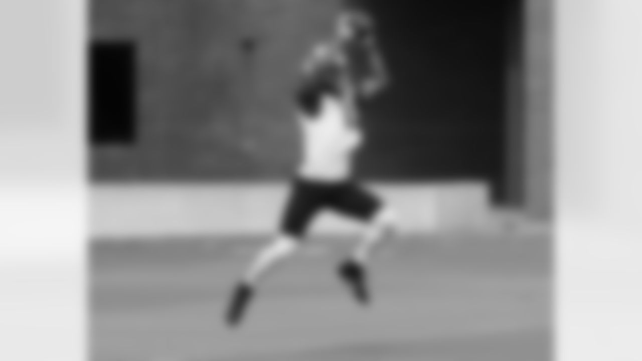 WR Larry Fitzgerald