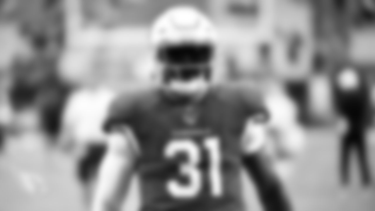 RB David Johnson