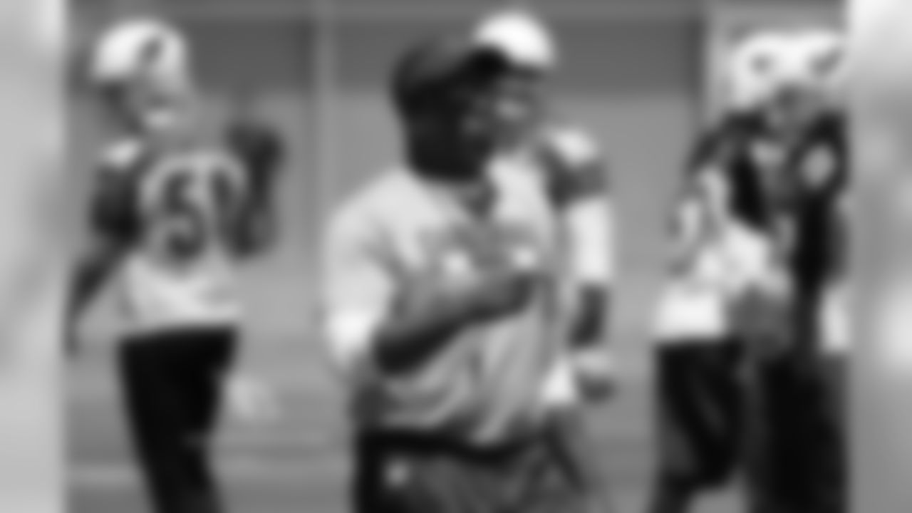 Coach Steve Wilks