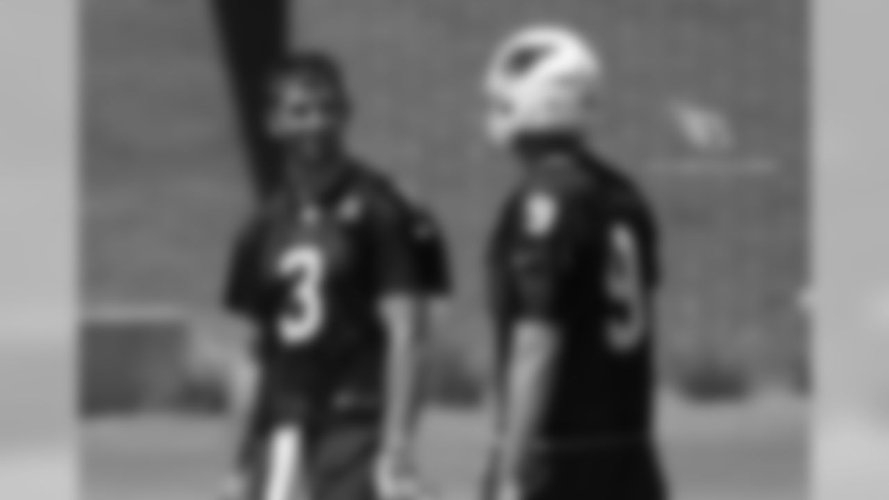QBs Josh Rosen and Sam Bradford