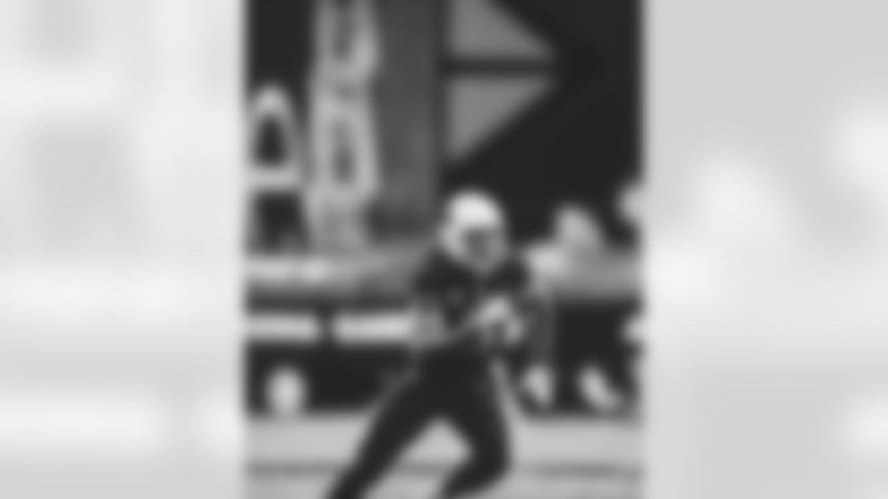 WR Larry Fitzgerald