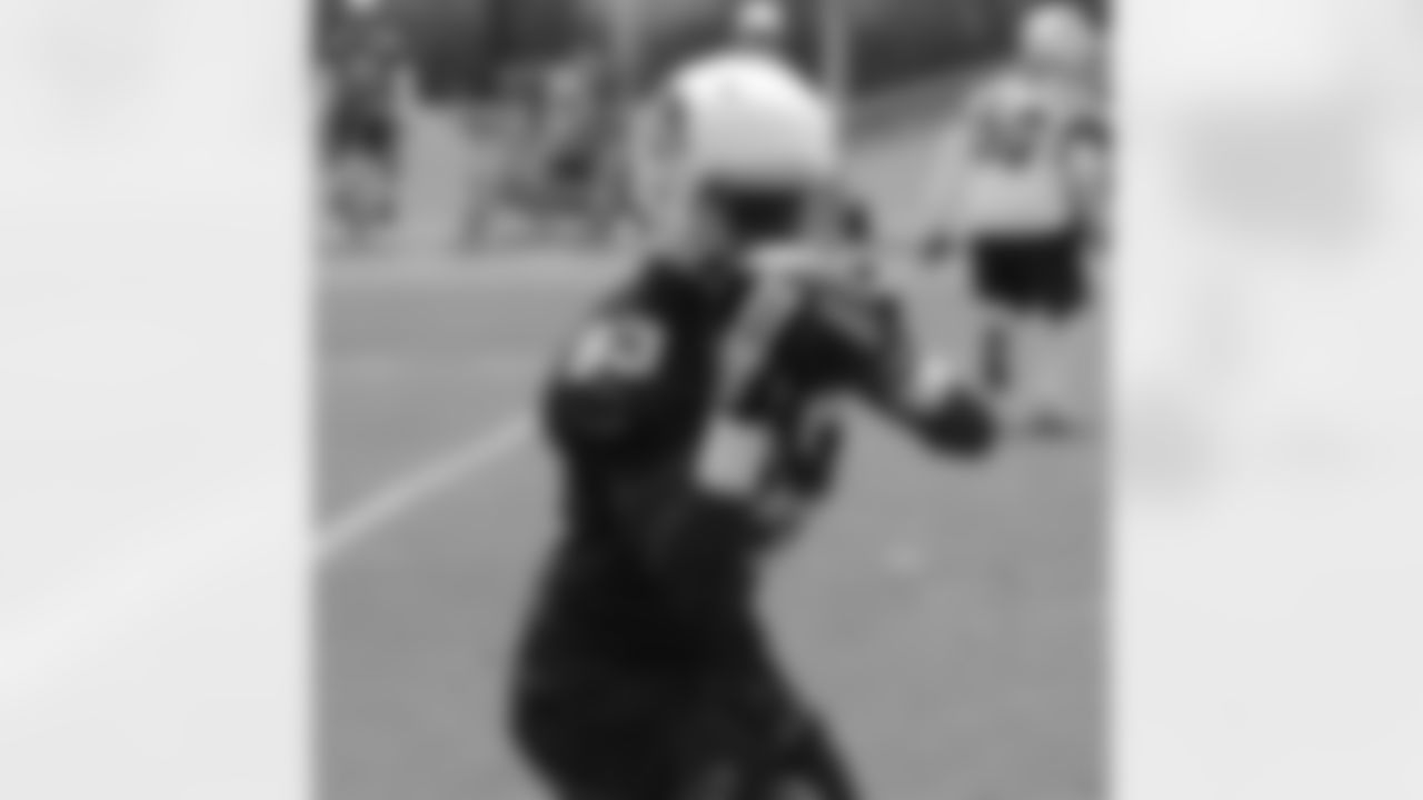 WR Walt Powell corrals a pass at a Cardinals practice