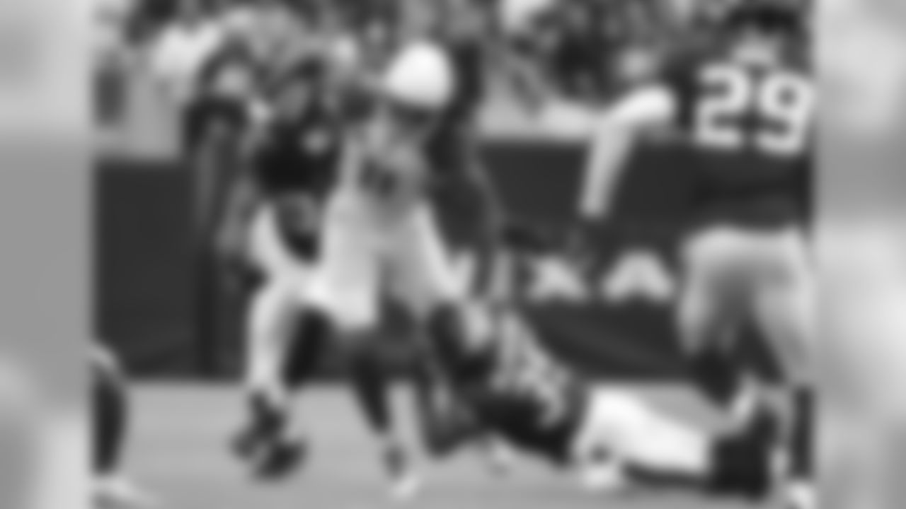 WR Larry Fitzgerald