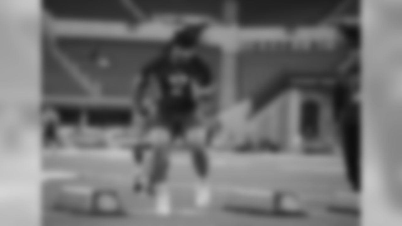 DT Robert Nkemdiche