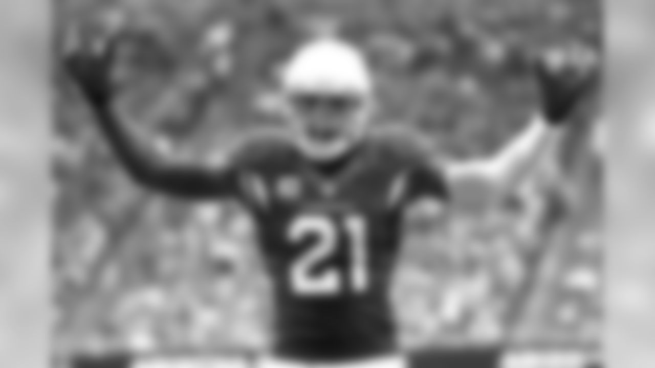 CB Patrick Peterson: 20 tackles, 2 INT, 6 passes defended