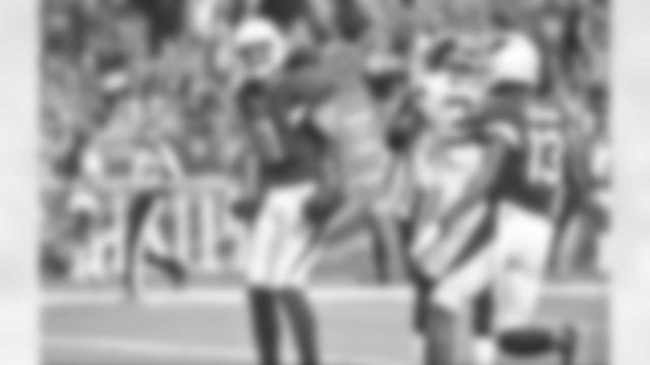 WR Larry Fitzgerald