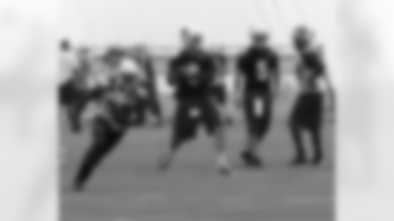 QB Carson Palmer goes back to pass