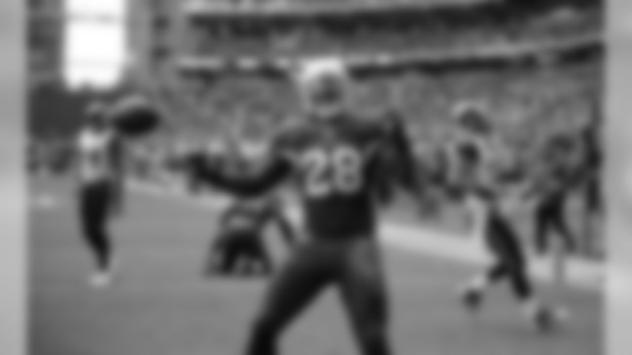 RB Rashard Mendenhall after a touchdown against the Rams.