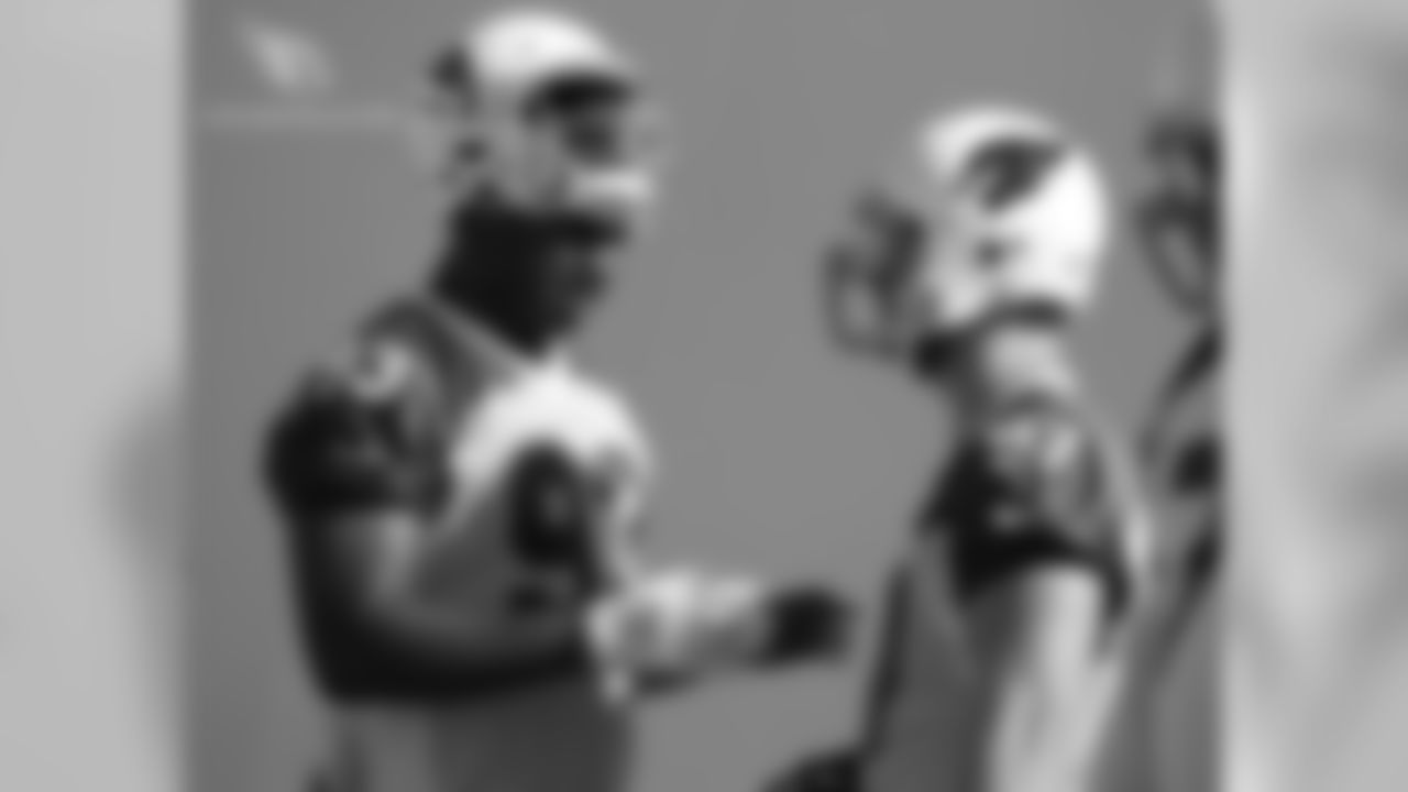 DT Calais Campbell