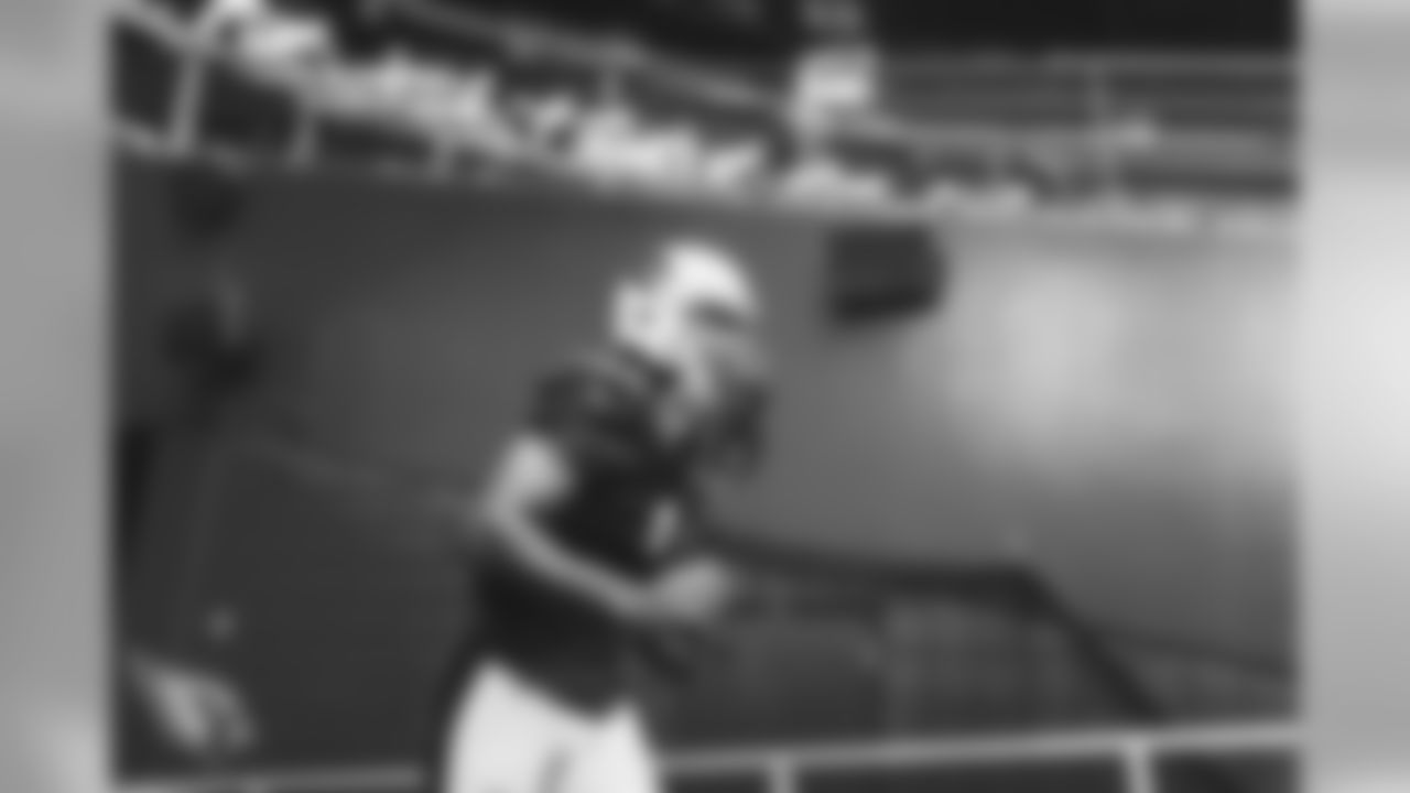 WR Larry Fitzgerald