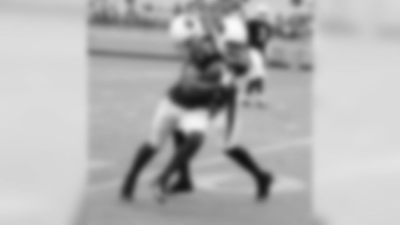 WR Larry Fitzgerald