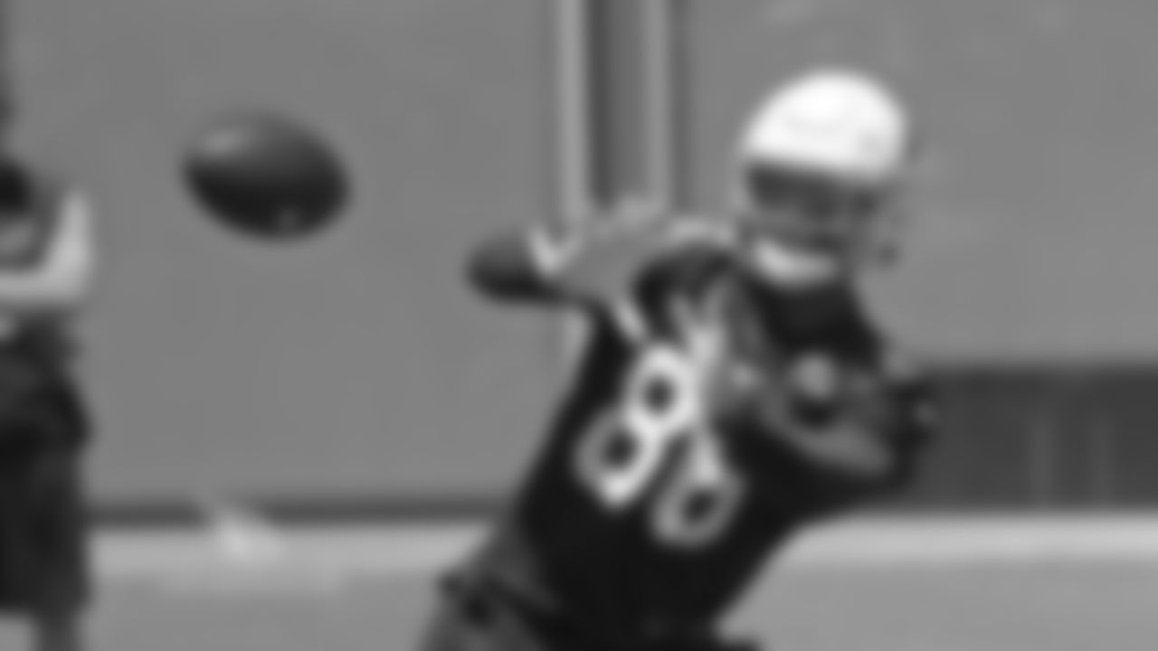 TE Ricky Seals-Jones