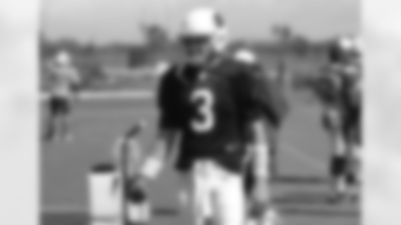 QB Carson Palmer