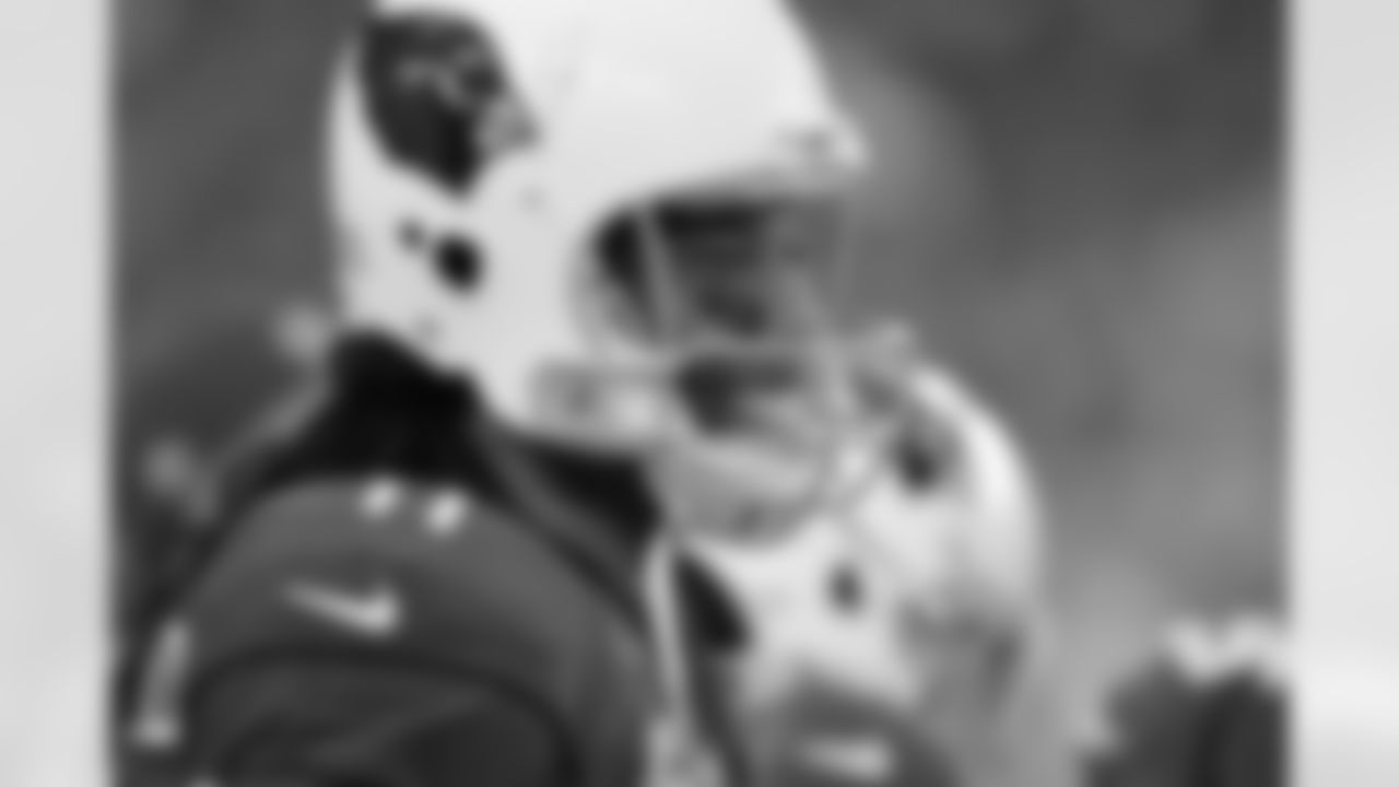 WR Larry Fitzgerald