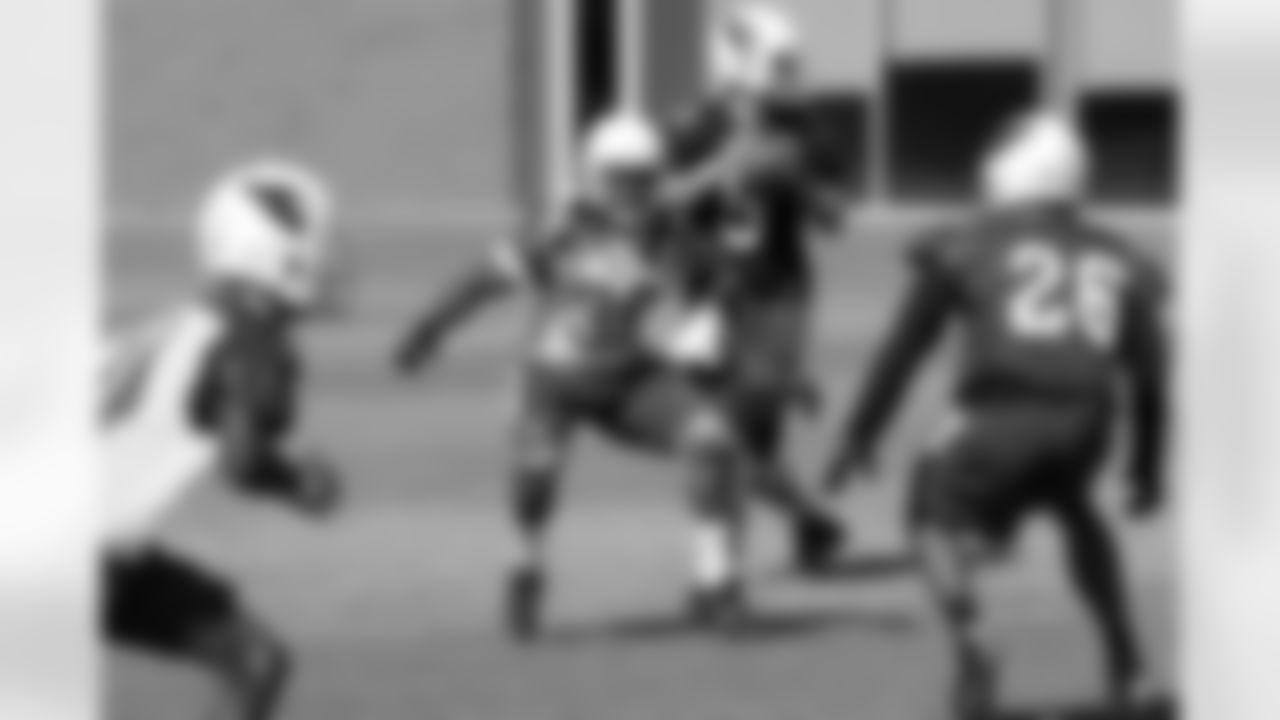 RB Andre Ellington (38) pass-blocking