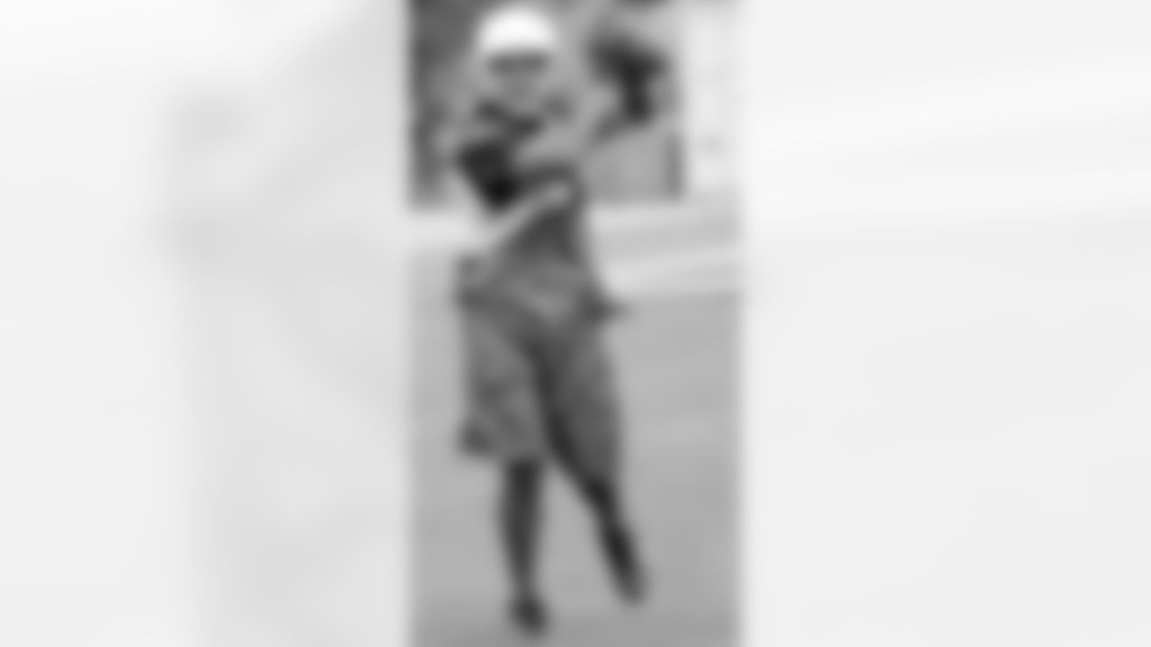 WR Larry Fitzgerald