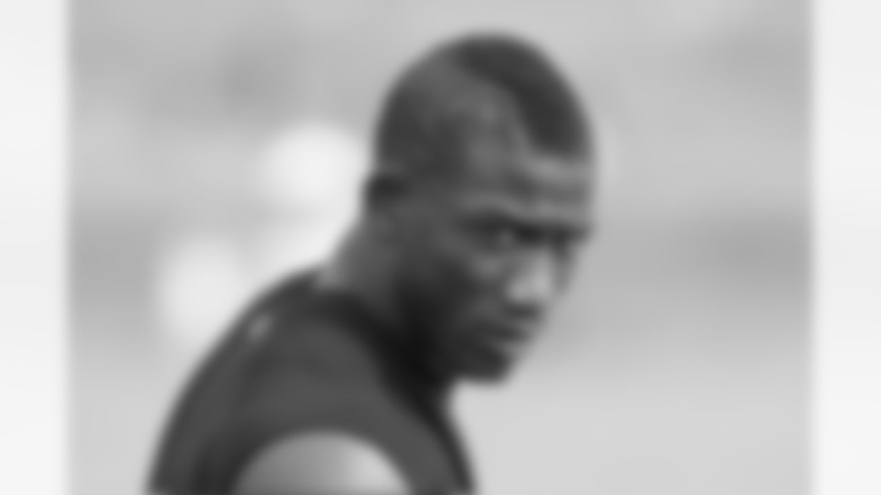 Safety Antrel Rolle, Photo by Peter Vander Stoep