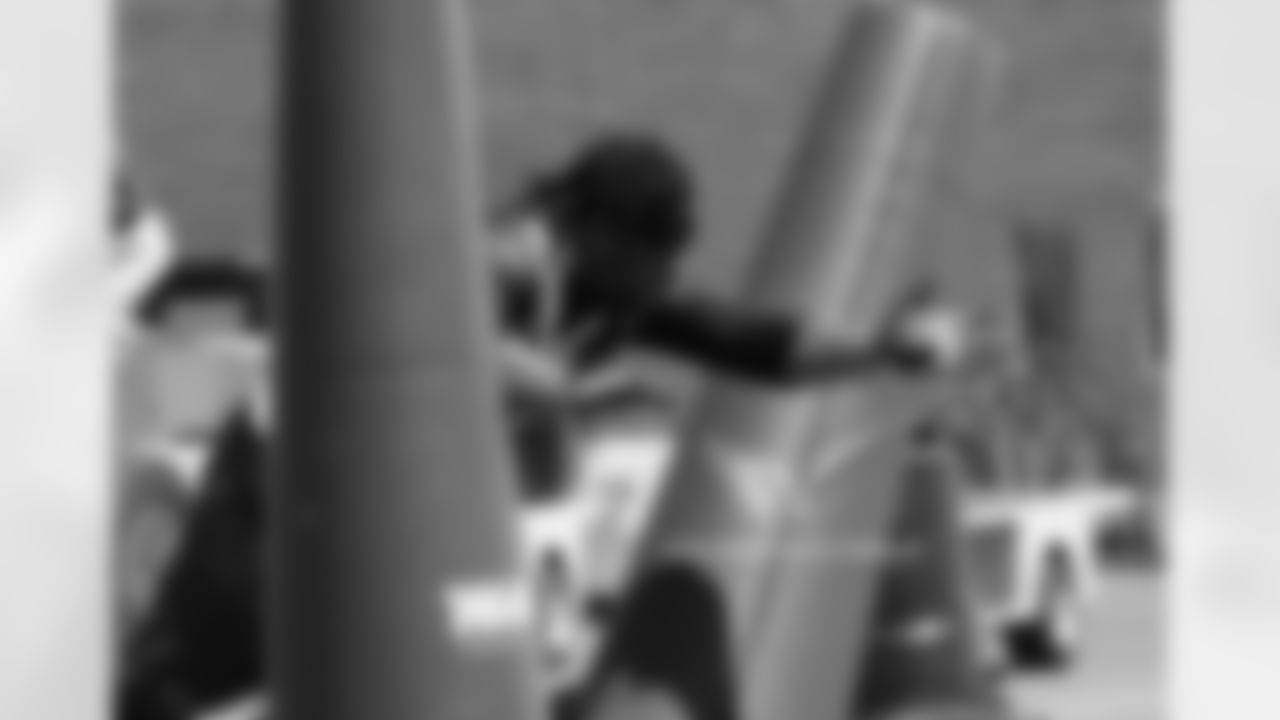 DT Robert Nkemdiche