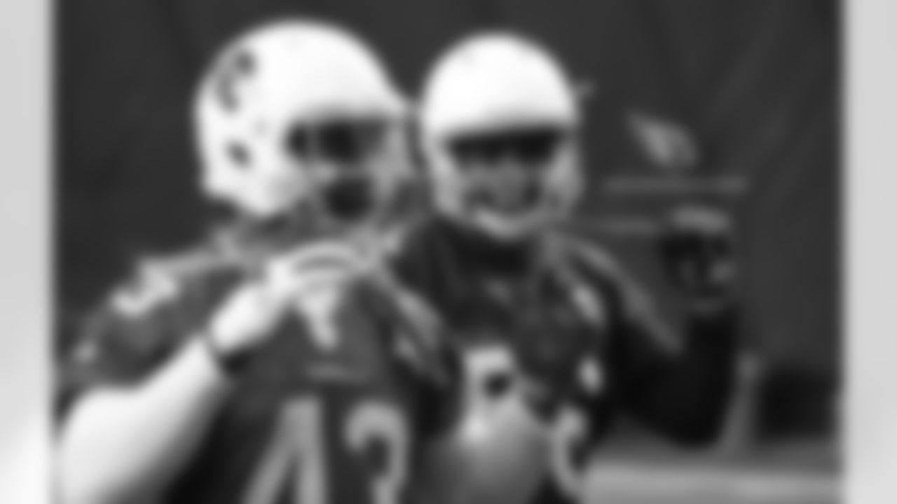 LB Haason Reddick (left) and LB Karlos Dansby