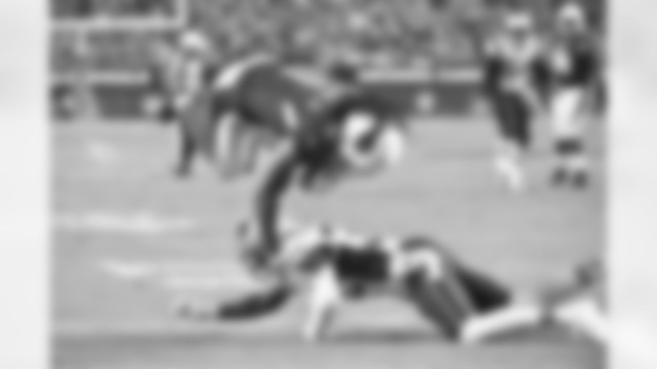 WR Larry Fitzgerald against the Patriots