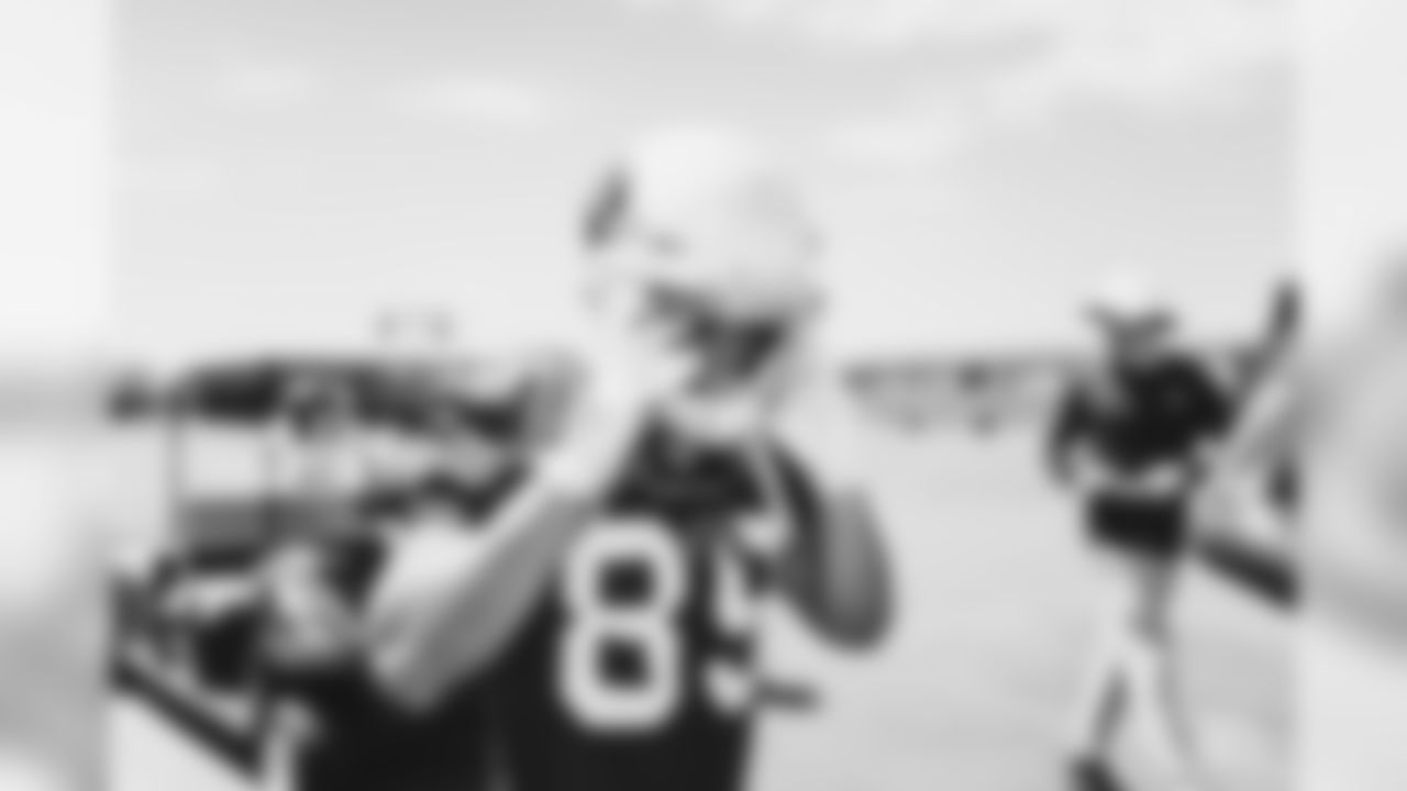 WR Andy Isabella