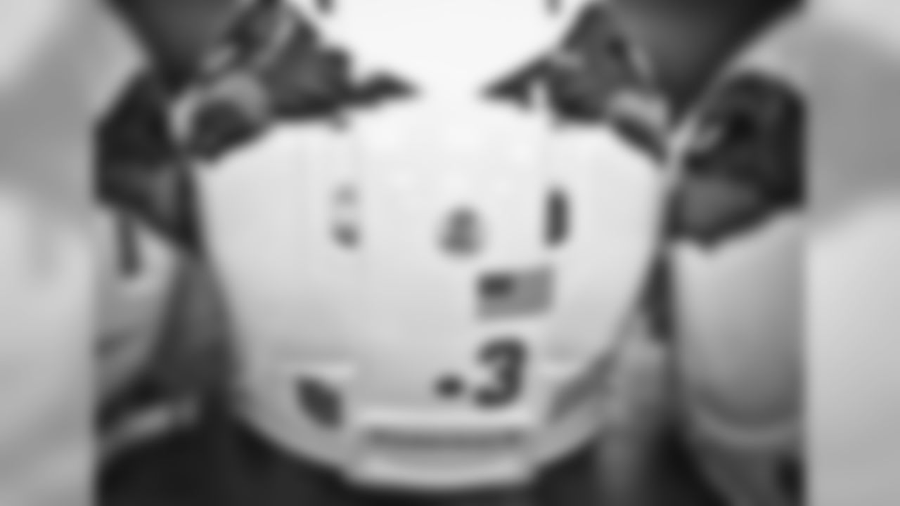 QB Carson Palmer's helmet