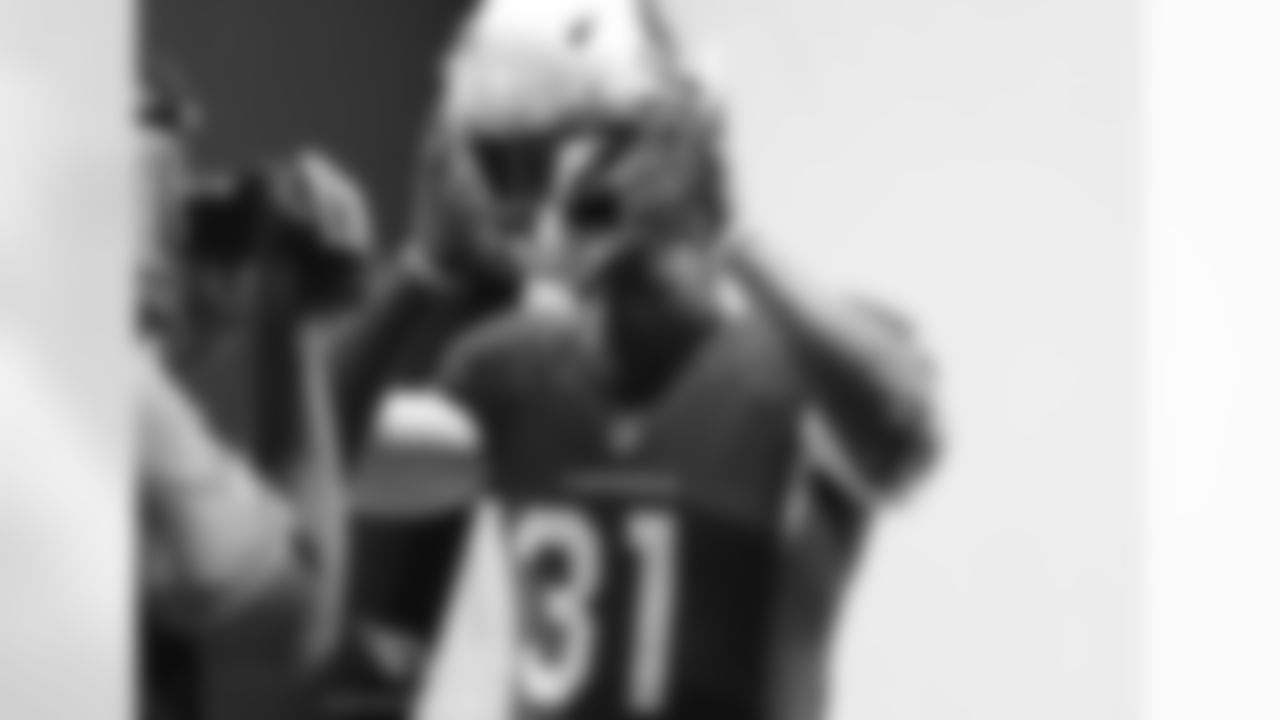 RB David Johnson