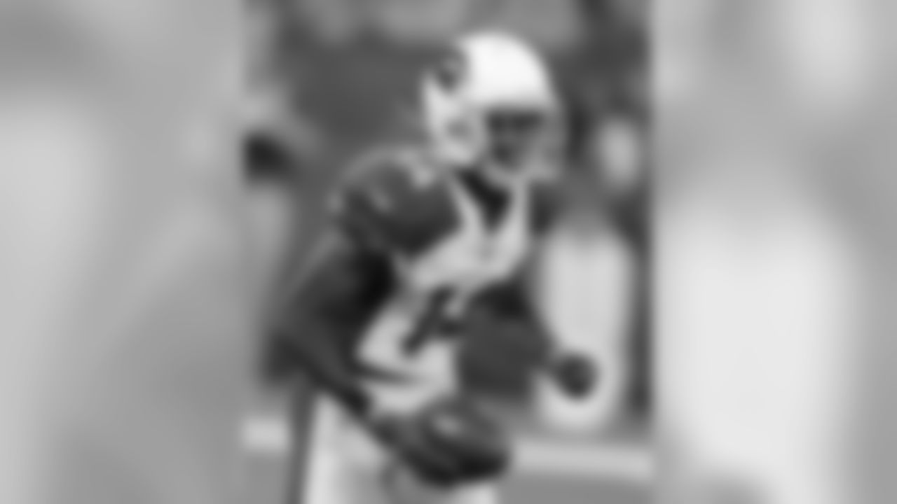 WR J.J. Nelson