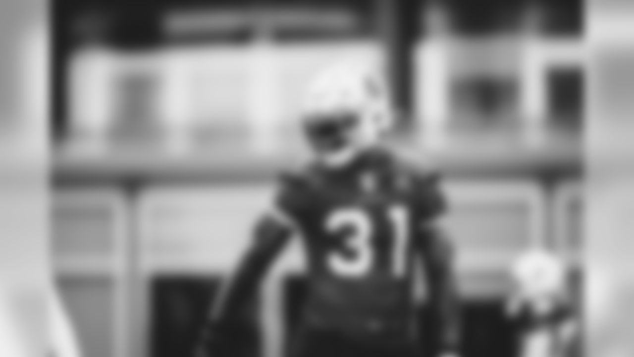 RB David Johnson