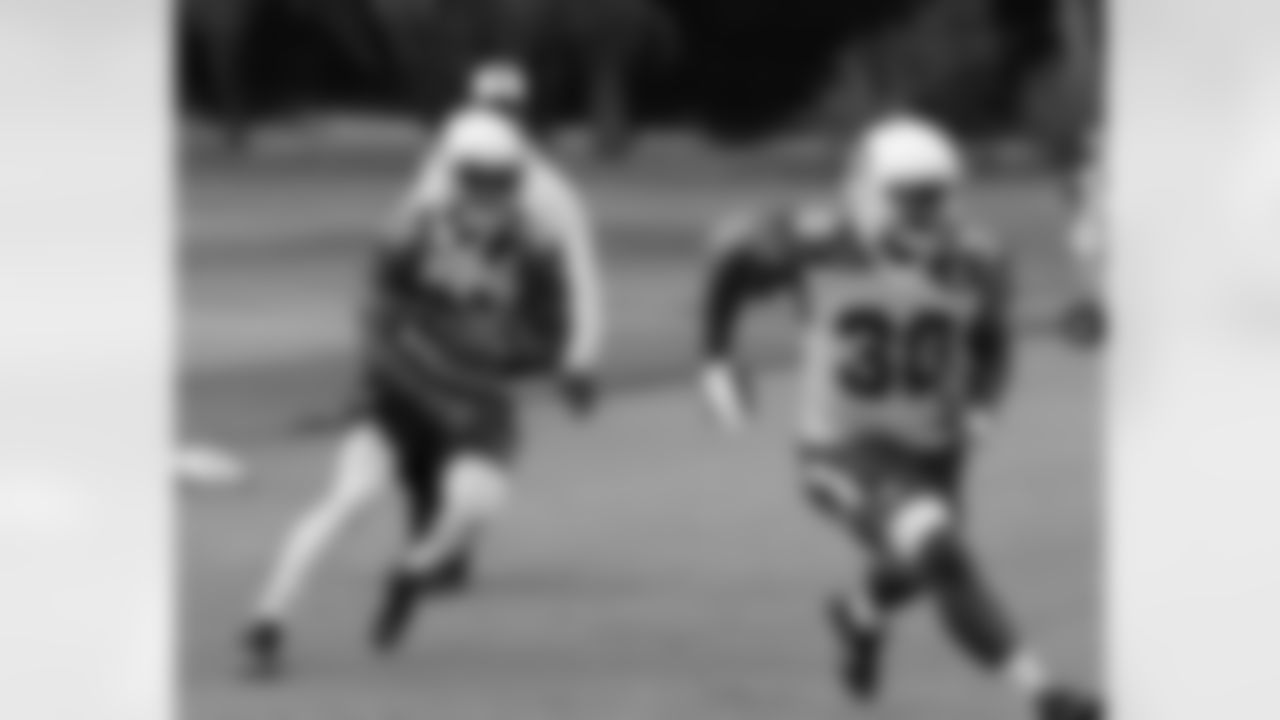 RB David Johnson