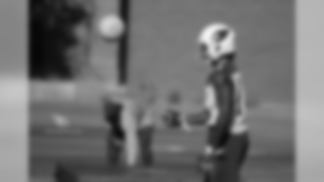 WR Chad Williams during the fifth OTA