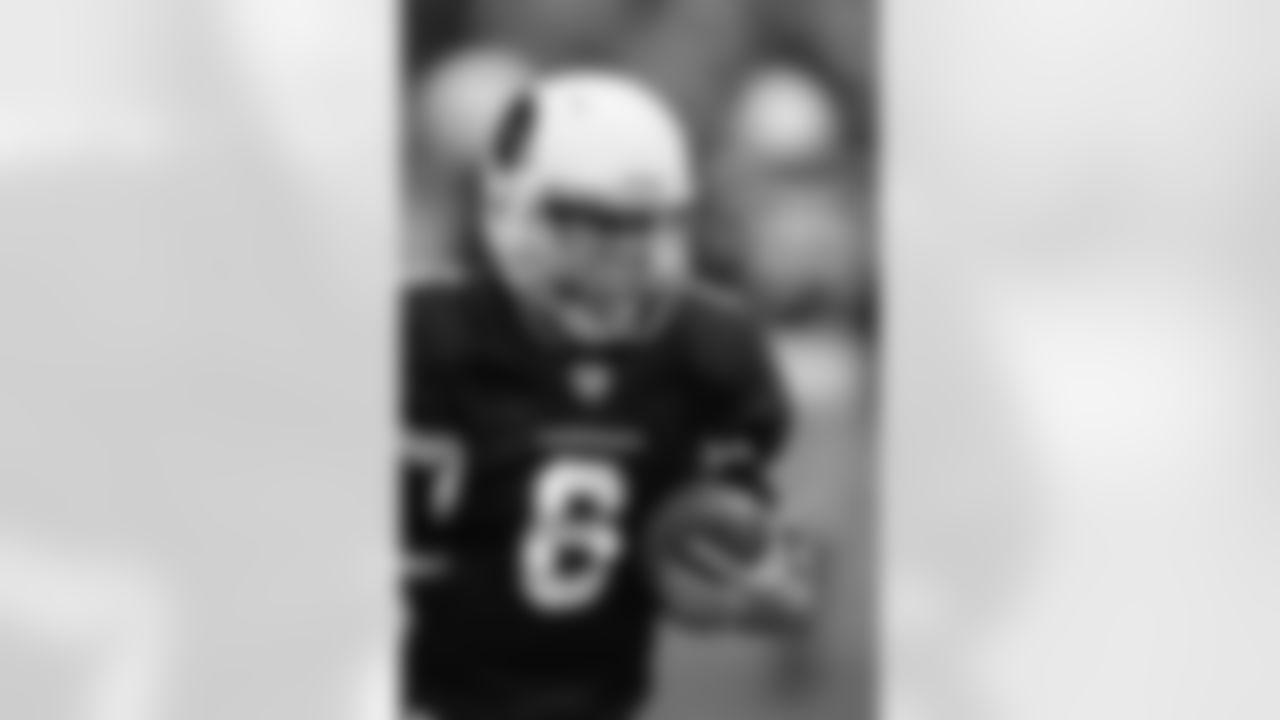 Hall gets the ball from Fitzgerald after his TD pass