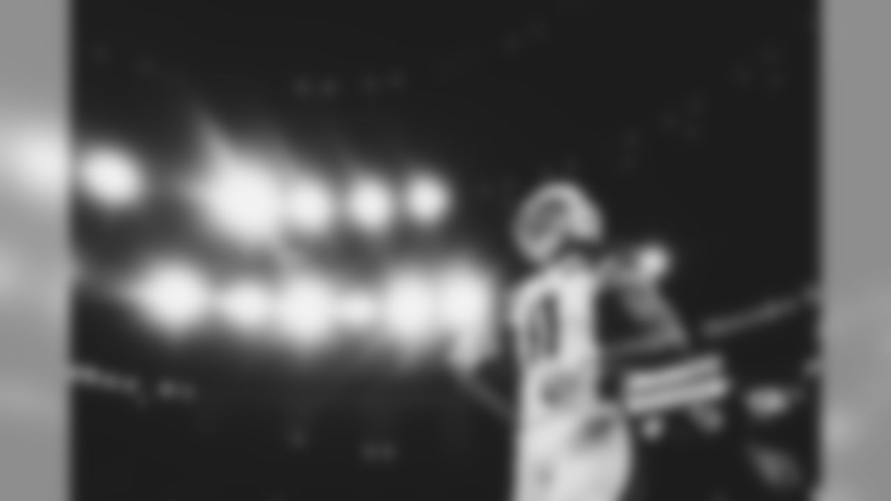 WR Larry Fitzgerald