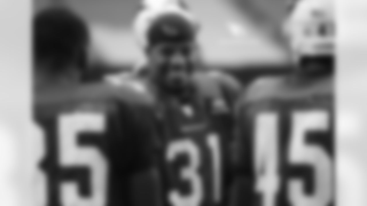 Day 17: RB David Johnson flashes a grin at camp