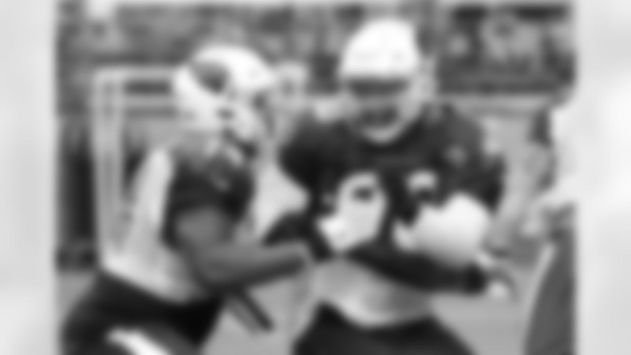 DT Robert Nkemdiche