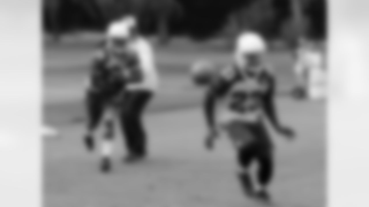 RB Andre Ellington secures the football