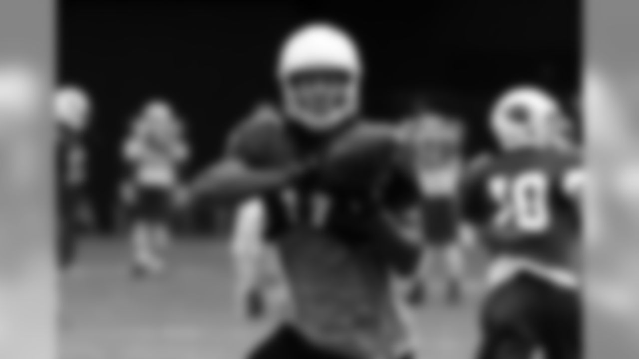 WR Larry Fitzgerald