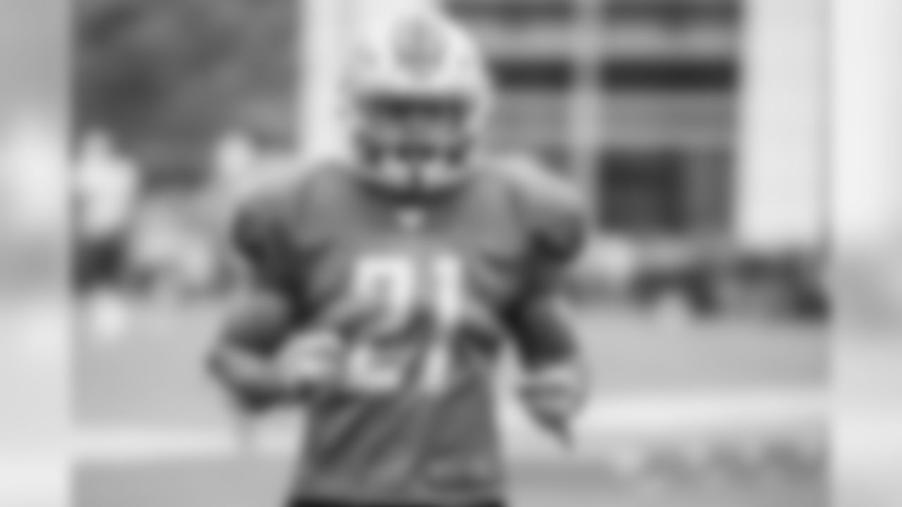 RB Ameer Abdullah