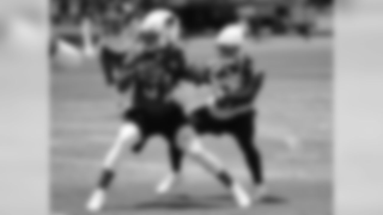 RB David Johnson
