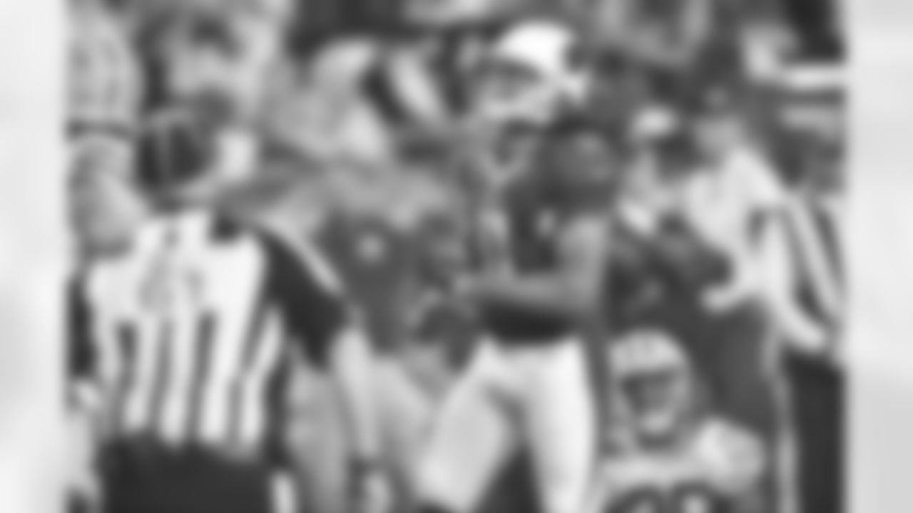 vs. Packers 2015 Divisional Round