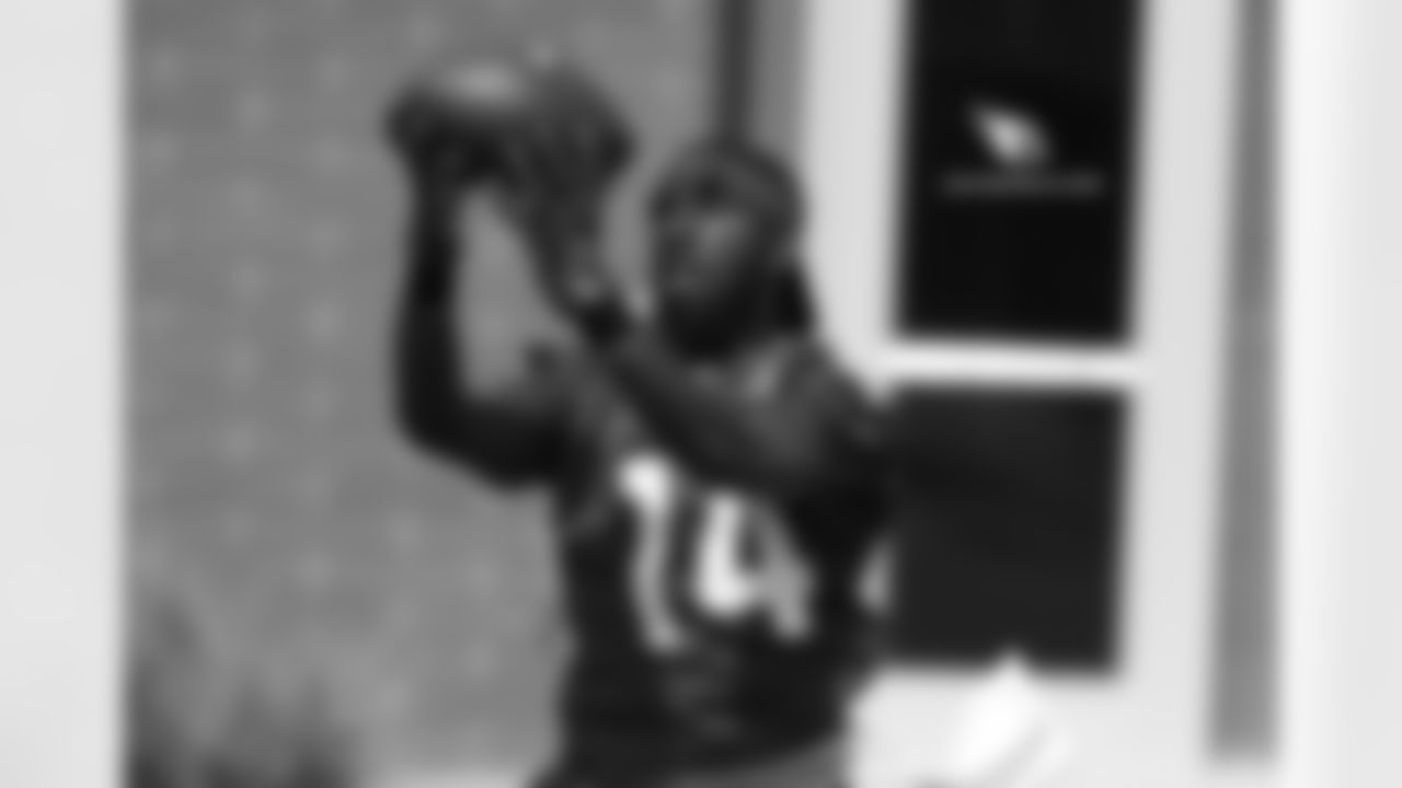 WR J.J. Nelson