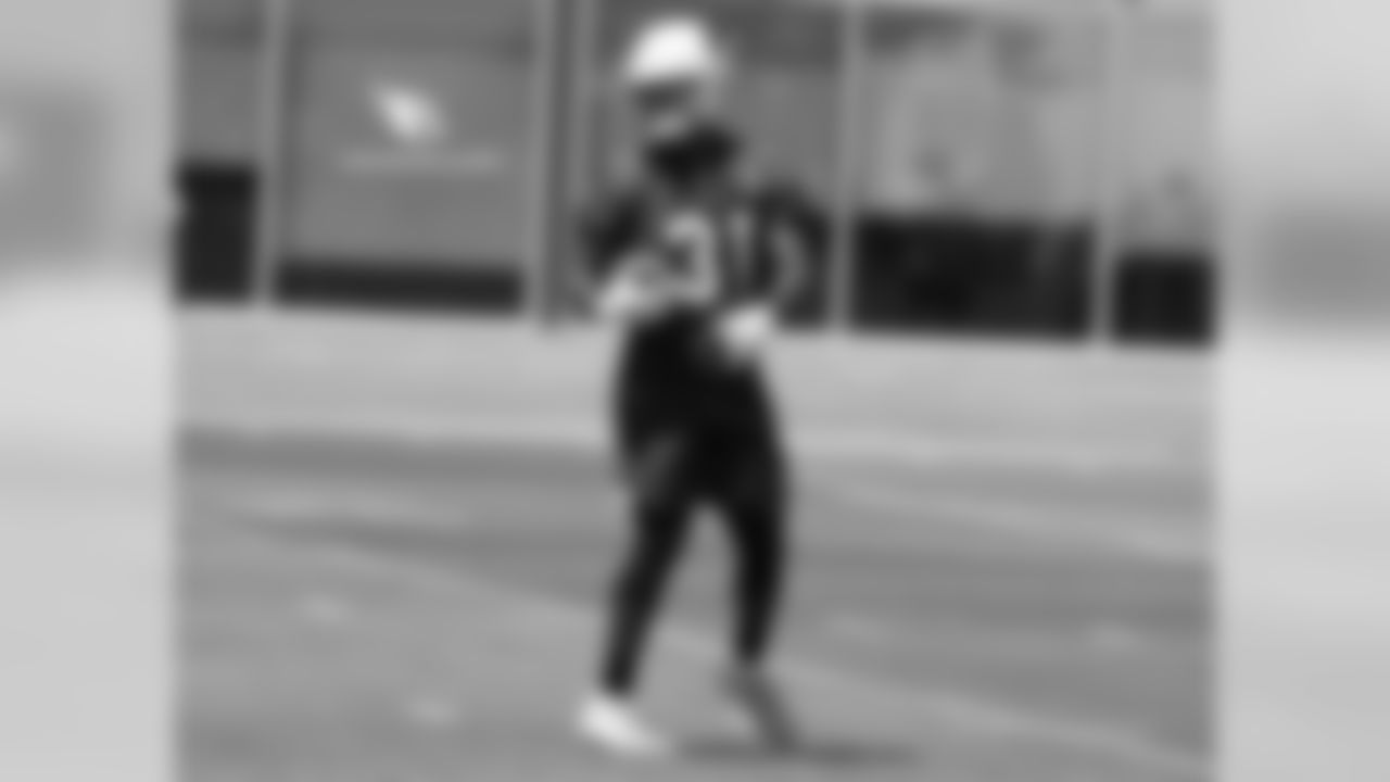 RB David Johnson