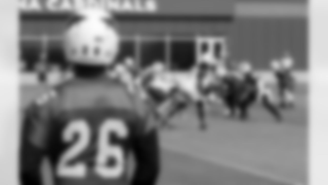 S Rashad Johnson watches the action
