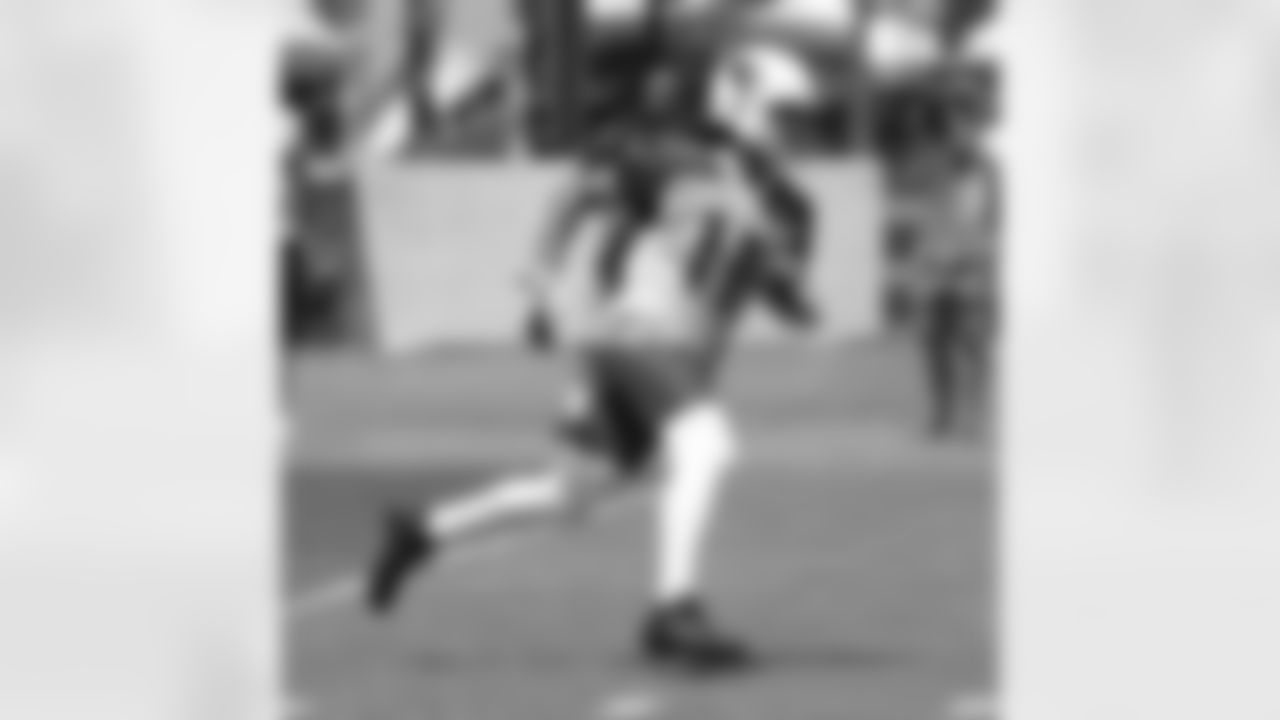 WR Larry Fitzgerald