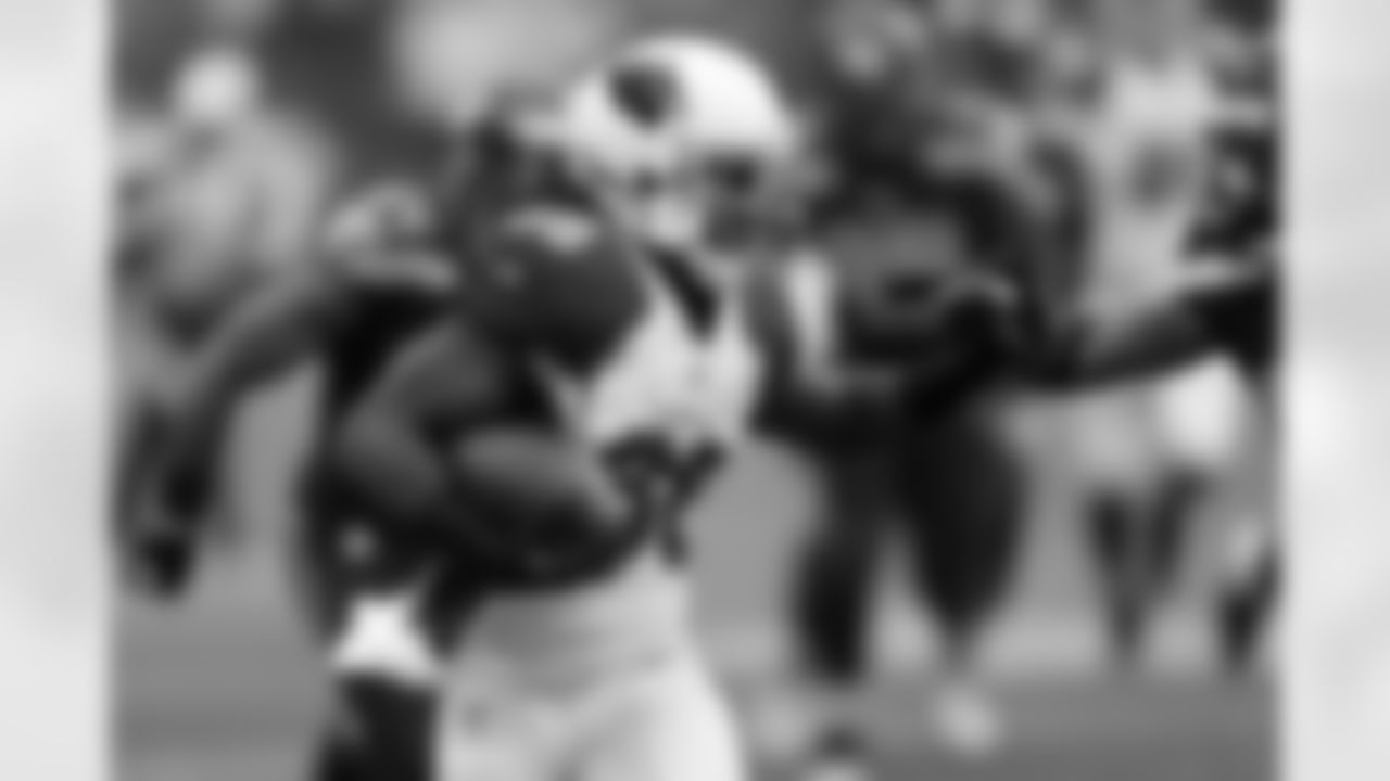 RB Andre Ellington