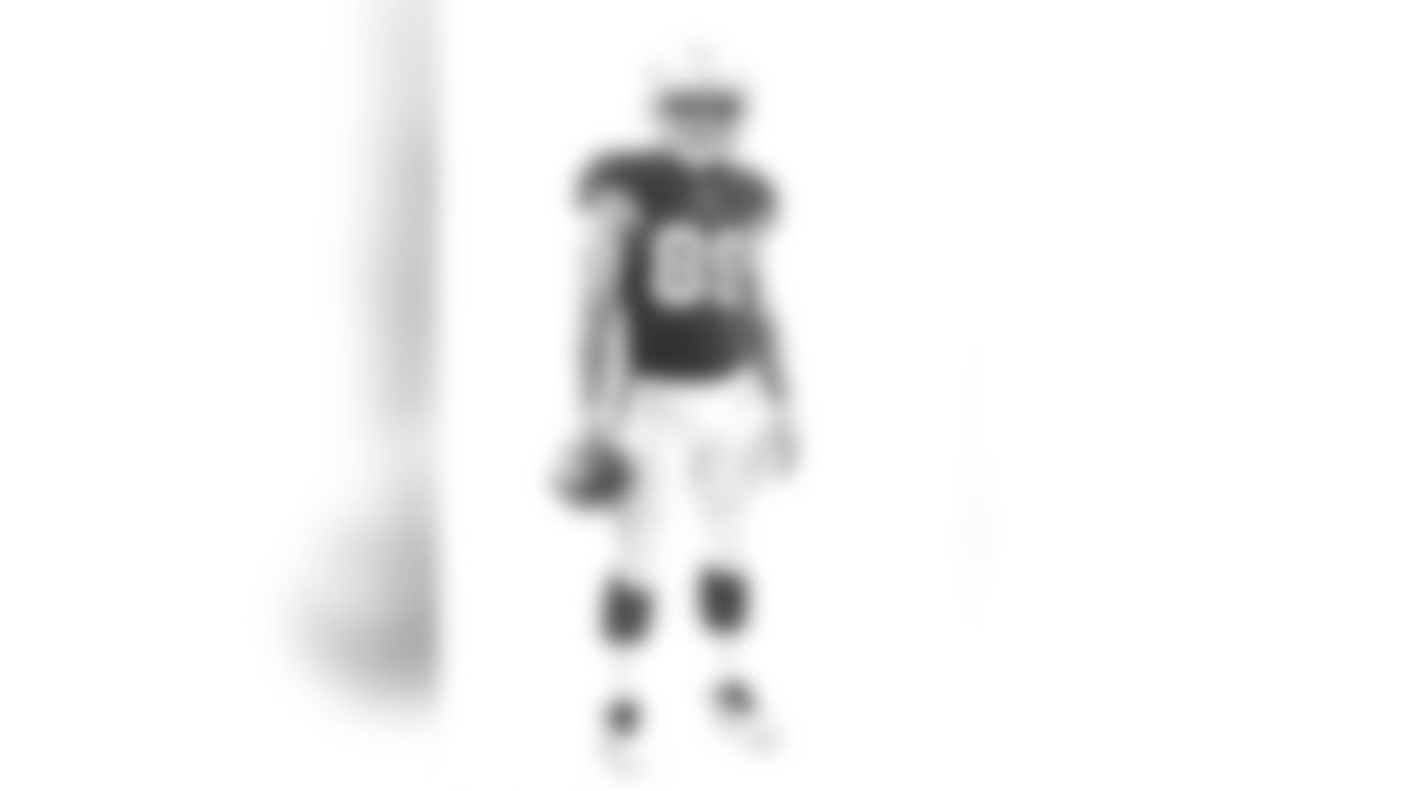 Wide receiver Andy Isabella