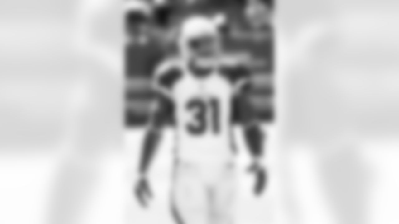 RB David Johnson before the Bears game