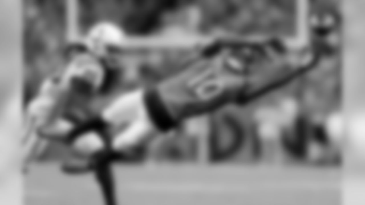 WR Emmanuel Sanders