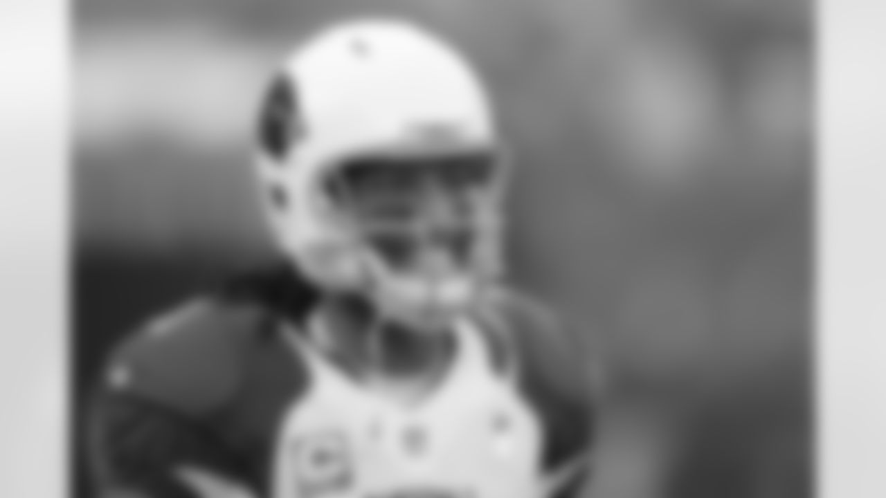 WR Larry Fitzgerald